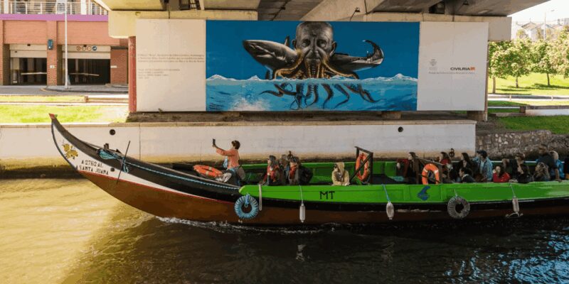 From Porto: Full-Day Trip to Coimbra & Aveiro with Boat Ride - Suitability and Accessibility