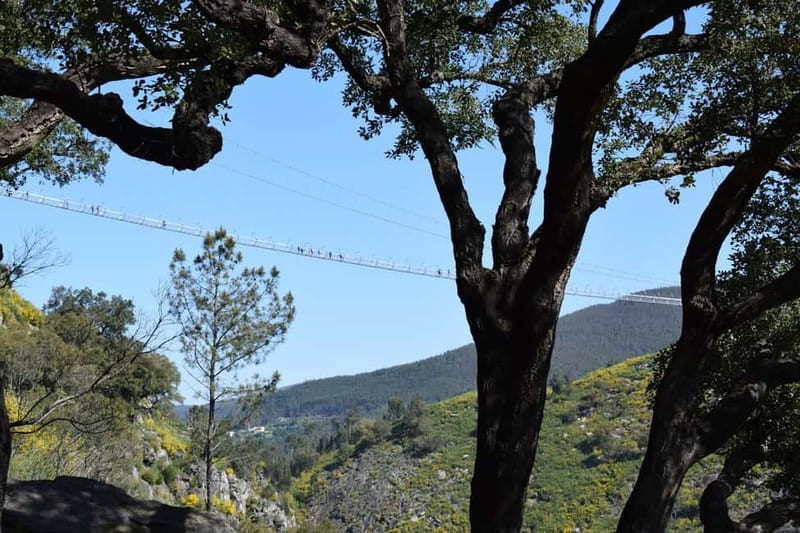 From Porto: Guided Tour of the 516 Arouca Suspension Bridge and Paiva Walkways - From Porto: Guided Tour of the 516 Arouca Suspension Bridge and Paiva Walkways