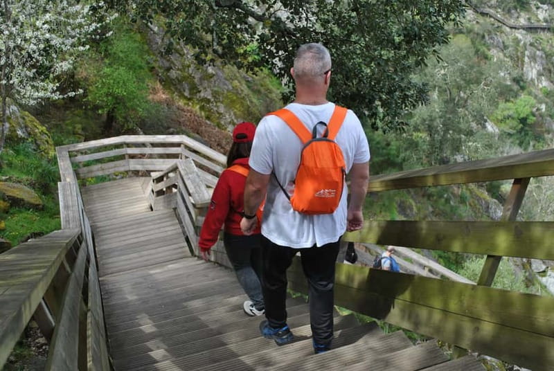 From Porto: Guided Tour of the 516 Arouca Suspension Bridge and Paiva Walkways - Booking and Cancellation Policies