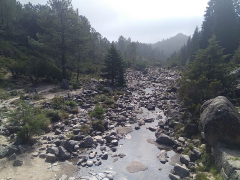 From Porto: Guided tour to Gerês Park - Visiting Waterfalls and Lagoons with Crystal Clear Waters