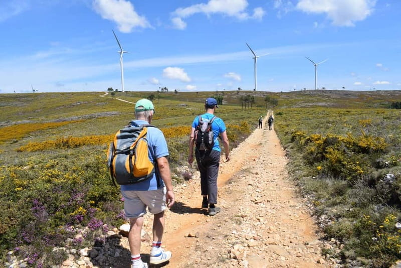 From Porto: Jeep Tour Serra Freita - Unesco Arouca Geopark - Entry to Casa das Pedras Parideiras and Local Snacks