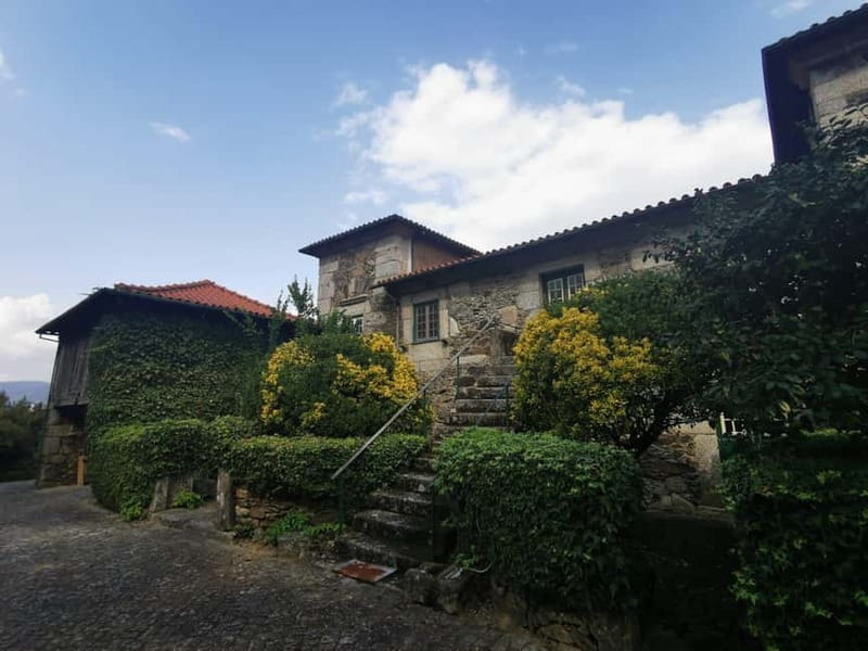 From Porto: Nature and Wine tasting Full-Day Tour - Key Points