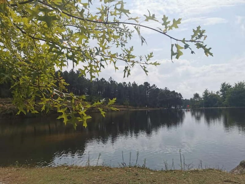 From Porto: Nature and Wine tasting Full-Day Tour - Practicalities: Logistics, Group Size, and What to Bring