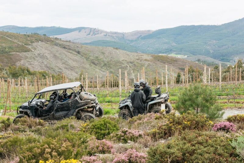 From Porto: Off-Road Buggy Adventure - Discover the Excitement of the Porto Off-Road Buggy Adventure