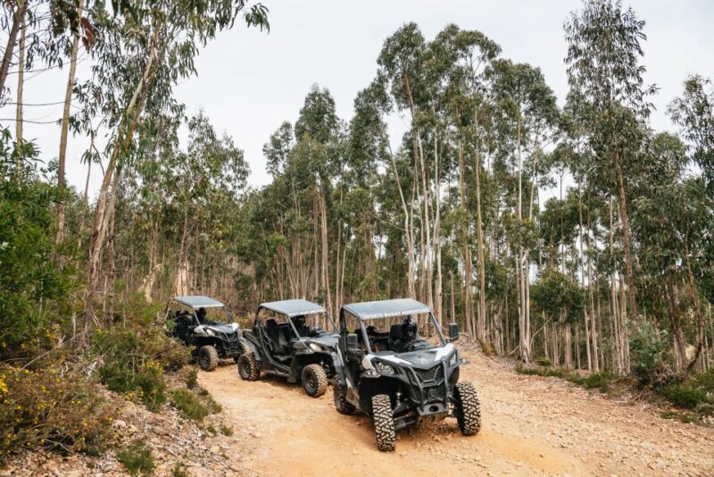 From Porto: Off-Road Buggy Adventure - Safety and Equipment During the Tour