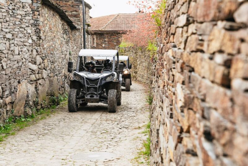 From Porto: Off-Road Buggy Adventure - Tour Guides and Their Role