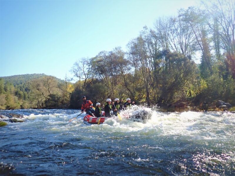 From Porto: Paiva River Rafting Discovery - Adventure Tour - Why Choose This Arouca River Adventure?