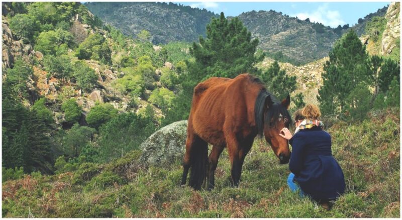 From Porto: Peneda-Gerês National Park Tour with Lunch - Scenic Jeep Rides Through Mountainous Terrain