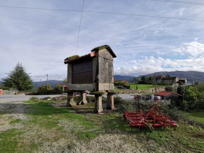 From Porto: Peneda-Gerês National Park Tour with Lunch - Who Will Appreciate This Tour Most?