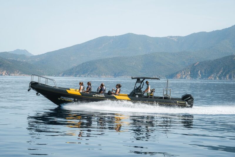 From Porto: Piana Creeks and Scandola Semi-Rigid Boat Tour - Reviews Highlighting the Experiences Quality