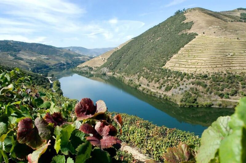 From Porto: Pinhão and Douro Valley Scenic Boat Tour - Exploring Pinhão and the Douro Valley Vineyards