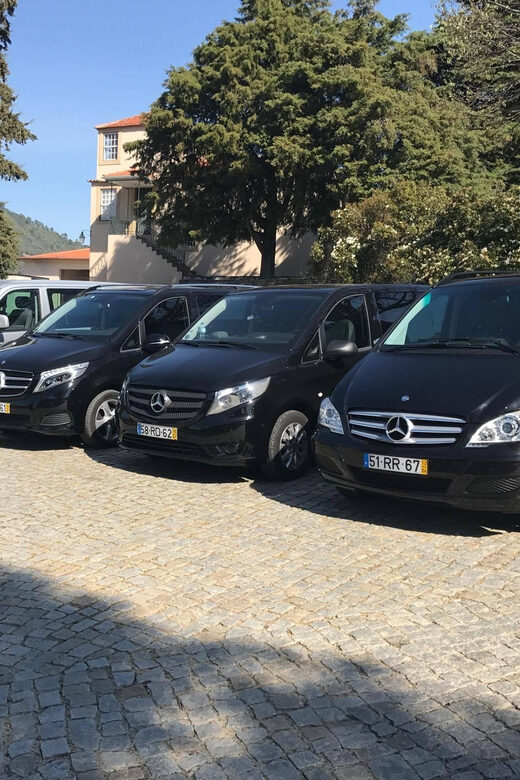 From Porto: Premium Douro Valley Small-Group Wine Tour - Key Points