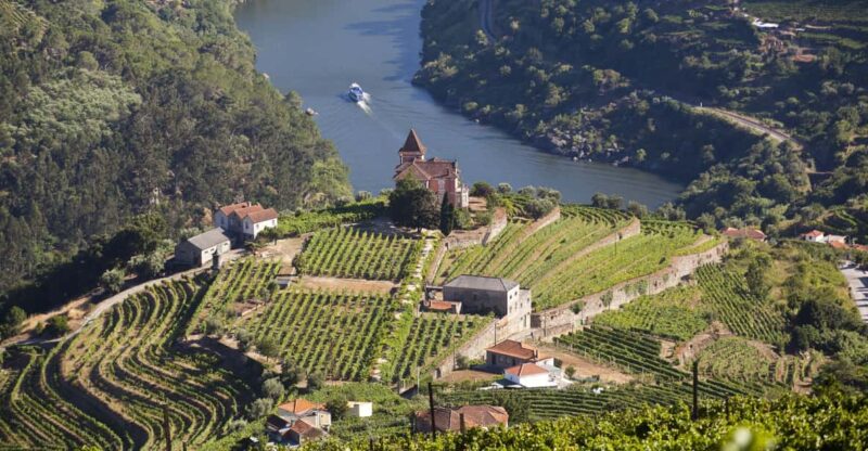 From Porto: Premium Douro Valley Small-Group Wine Tour - Experience the Elegance of Douro Vineyards