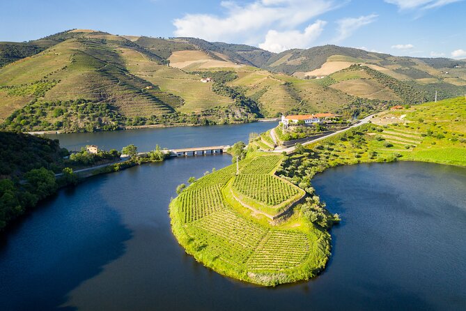 From Porto: Private Douro Valley Tour - Departure from Porto with Private Pickup Service