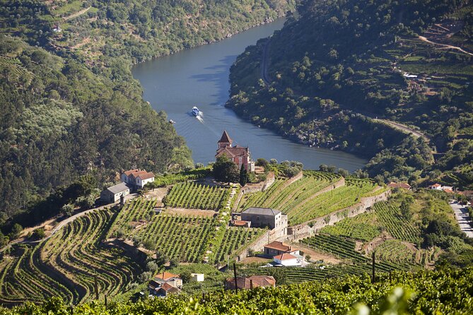 From Porto: Private Douro Valley Tour - Historic Pinho Railway Station and the N222 Road