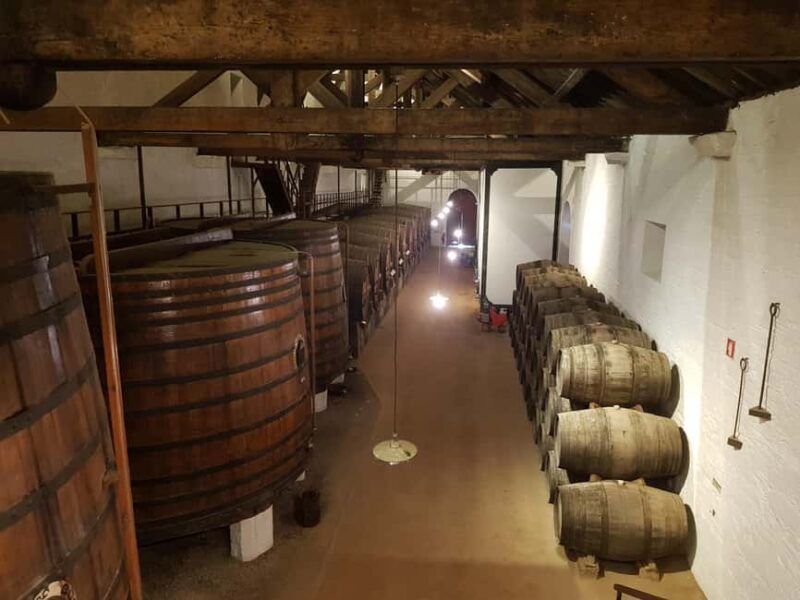 From Porto: Private Douro Valley Tour, Tasting, Boat, Lunch - Experience the Best of the Douro Valley in a Private Tour from Porto