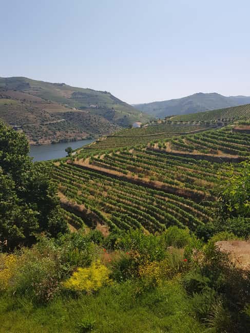 From Porto: Private Douro Valley Tour, Tasting, Boat, Lunch - Who Will Appreciate This Douro Experience?