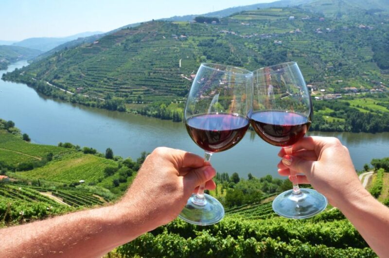 From Porto: Private Douro Valley Tour with Booking Service - Personalization and Flexibility with a Private Guide