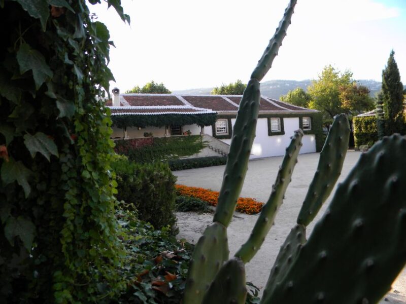 From Porto: Private Douro Valley Tour with Booking Service - Accessibility and Ease of Planning