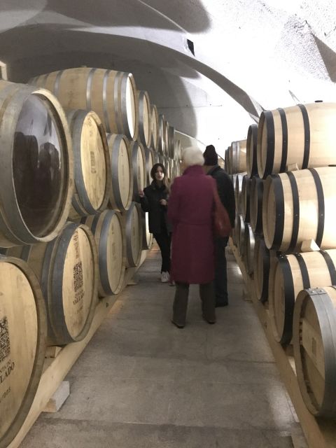 From Porto: Private Douro Valley Tour with Cruise and Wine - Practicalities: What’s Included and What Guests Should Prepare