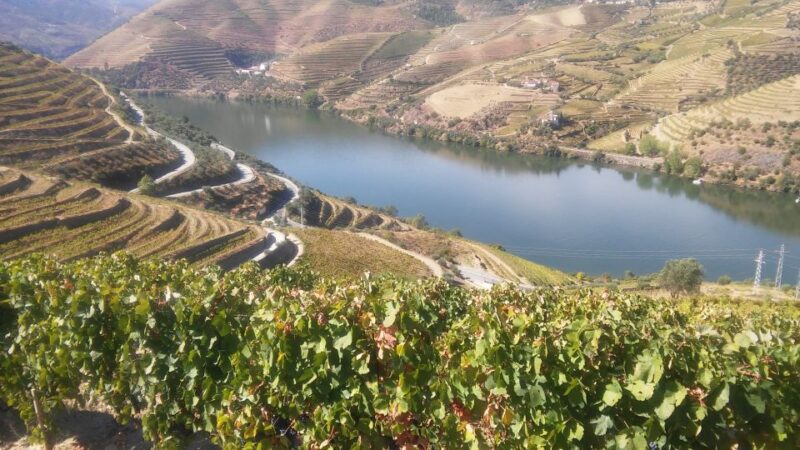 From Porto: Private Douro Valley Tour with Cruise and Wine - Is This Tour Right for You?
