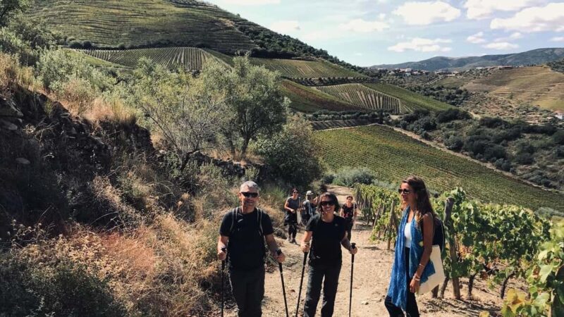 From Porto - private experience to Niepoort - Key Points