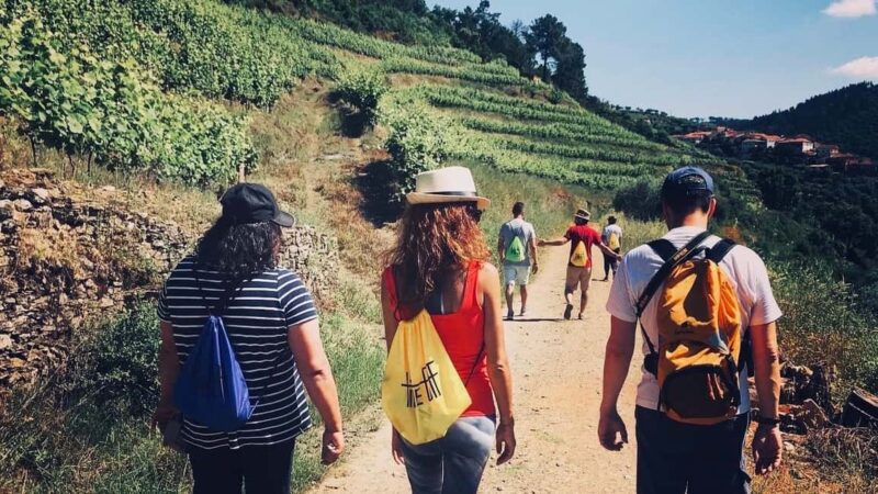 From Porto - private experience to Niepoort - Visiting Quinta de Nápoles: The Heart of Niepoort Wines