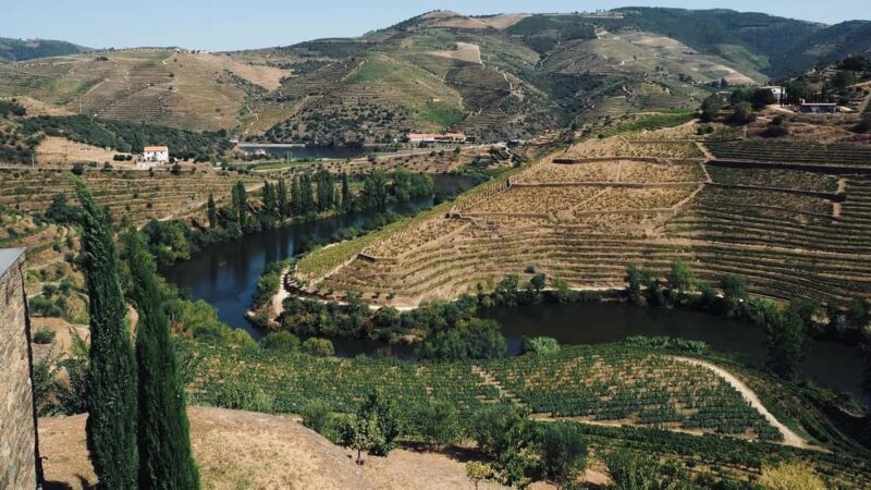 From Porto - private experience to Niepoort - Guided Tour of the Winemaking Process