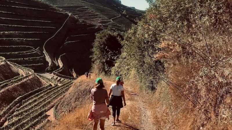 From Porto - private experience to Niepoort - The Exclusive Paired Portuguese Lunch in a Quiet Setting