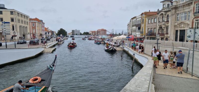 From Porto Private Tour Half Day in Aveiro and Costa Nova - Explore Portugal’s Venice and Coastal Charm in a Private Half-Day Tour