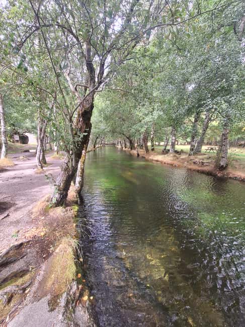 From Porto: Private Tour to Serra da Estrela - Scenic Stops, Photo Opportunities, and Cable Car Ride