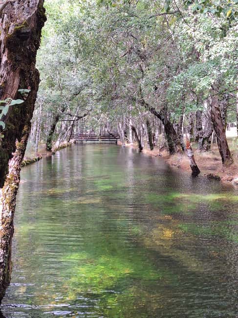 From Porto: Private Tour to Serra da Estrela - Winter Magic: Snow and Portugal’s Only Ski Resort