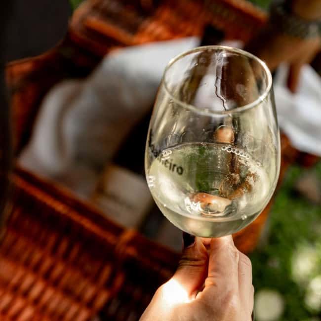 From Porto: Private Vinho Verde wine tour with tasting, lunch, and palace visit. - Discover Portugals Vinho Verde on a Private Day Tour from Porto