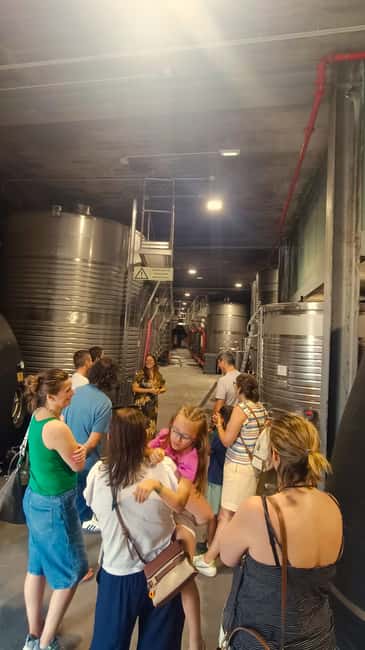 From Porto: Private Vinho Verde wine tour with tasting, lunch, and palace visit. - Visiting a Majestic Palace in the Region