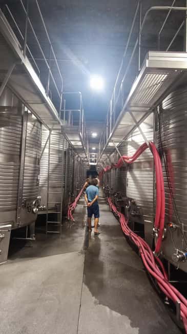 From Porto: Private Vinho Verde wine tour with tasting, lunch, and palace visit. - Return to Porto with Memorable Impressions