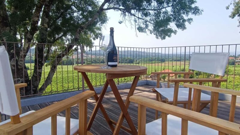 From Porto: Private Vinho Verde wine tour with tasting, lunch, and palace visit. - What Makes This Tour Stand Out