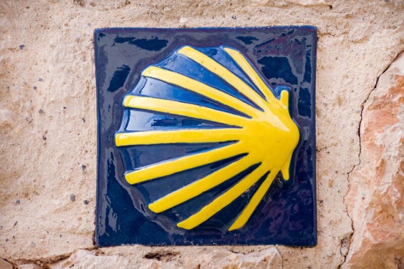 From Porto: Santiago de Compostela Cathedral Private Tour - Ideal Audience for This Tour