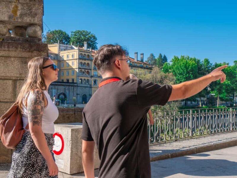 From Porto: Small Group Douro Valley Tour with Wine & Cruise - Exploring the Douro Valleys Vineyards and Cellars