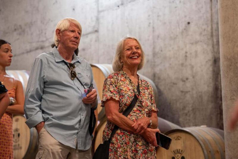 From Porto: Small Group Douro Valley Tour with Wine & Cruise - Scenic Stop at Amarante