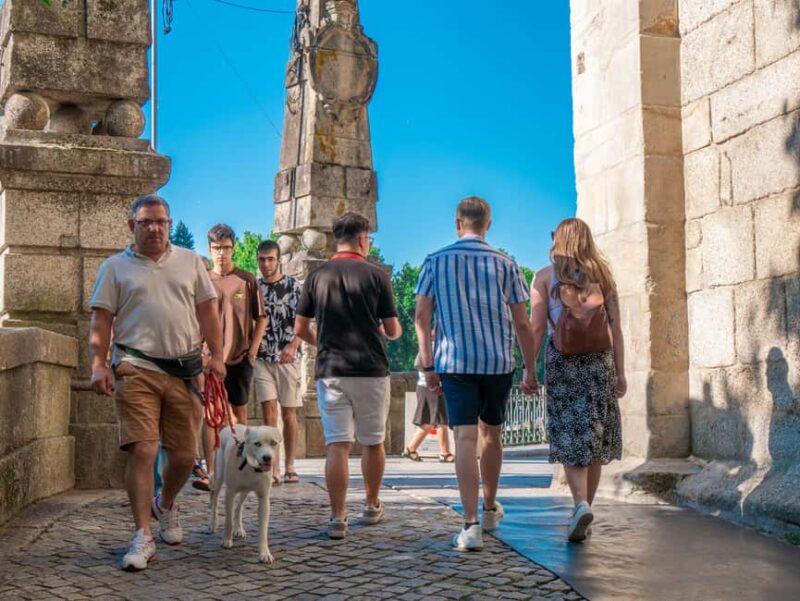 From Porto: Small Group Douro Valley Tour with Wine & Cruise - Lunch with a View in the Douro Valley