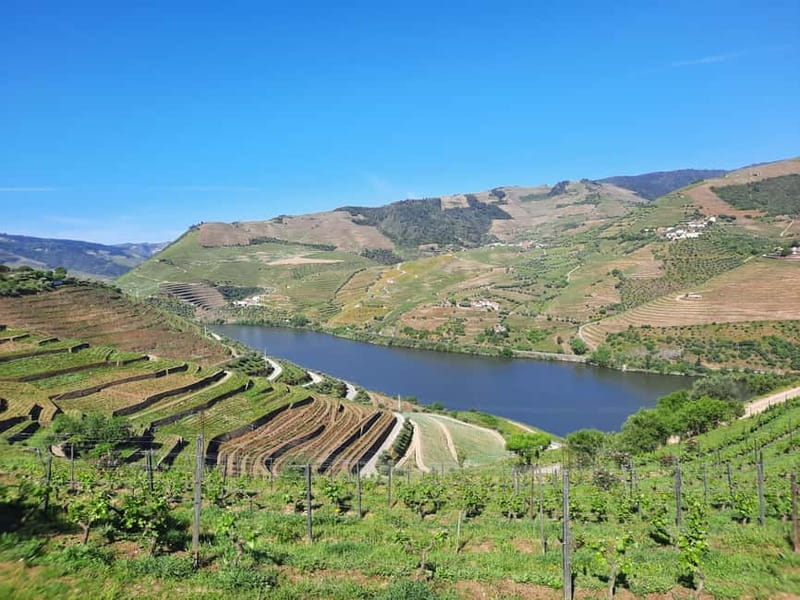 From Porto: small-group guided tour of the Douro Valley and Gerês - Discover Gerês Natural Park’s Waterfalls and Lagoons