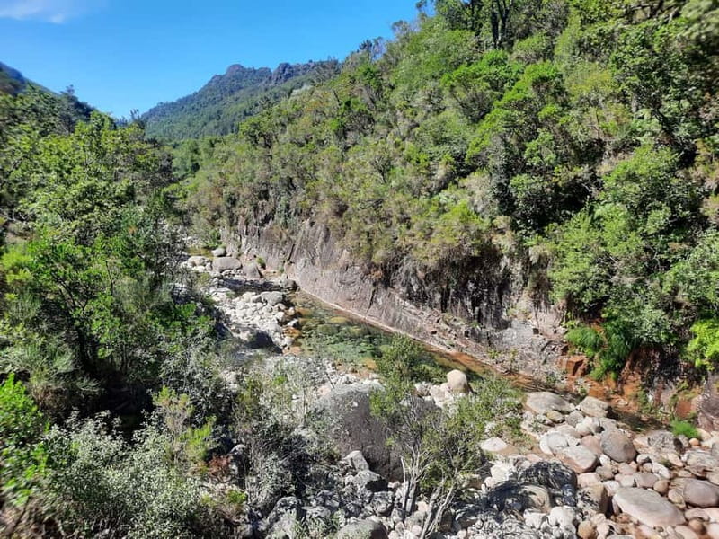 From Porto: small-group guided tour of the Douro Valley and Gerês - Who Should Consider This Tour