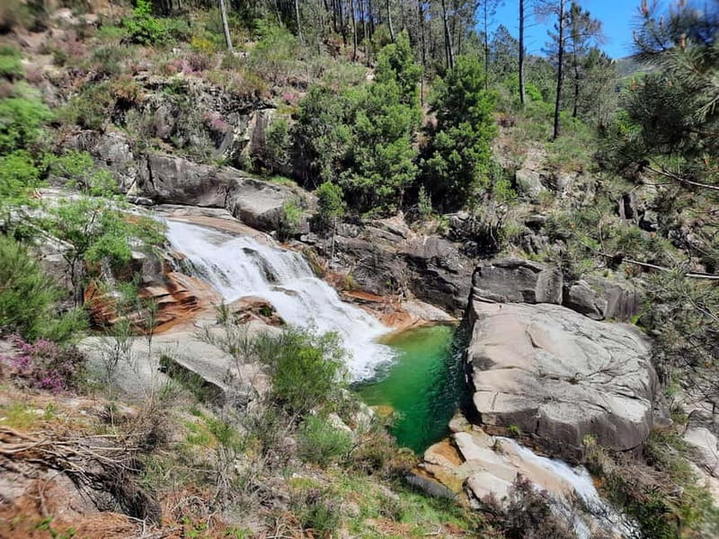 From Porto: small-group guided tour of the Douro Valley and Gerês - The Sum Up: An Authentic and Scenic Peek into Portugal’s Natural Treasures