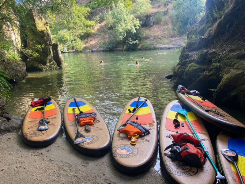 From Porto: SUP Paiva River Tour with Transfer - Discover the Paiva River on a Guided SUP Tour from Porto for $85