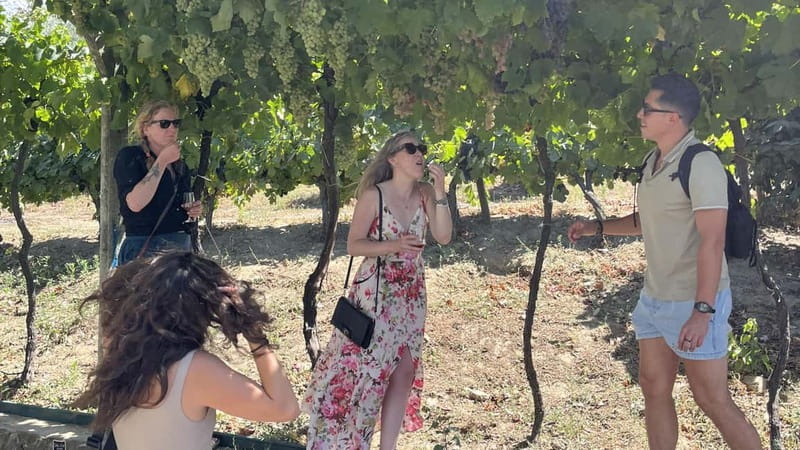 From Porto: Tastings at 2 Wineries, Chef's Lunch & Boat Tour - Support for Local Families and Authentic Experiences