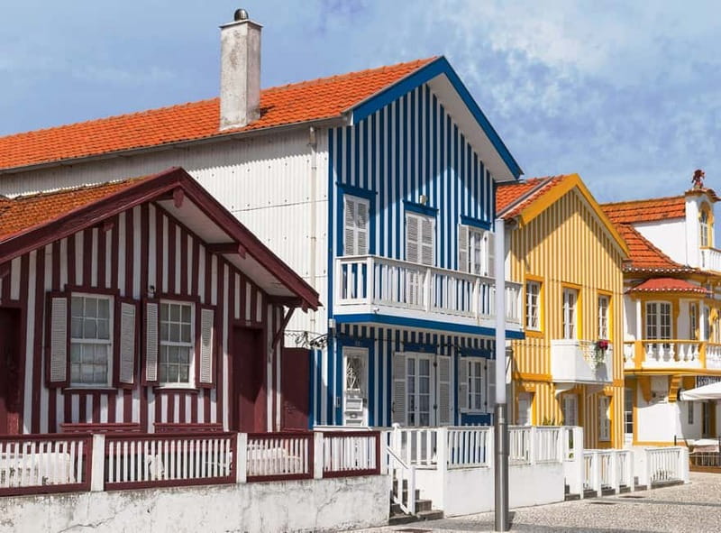 From Porto to Aveiro: Cruise, Aves, Salinas, Costa Nova, and Vista Alegre - Who Should Choose This Tour