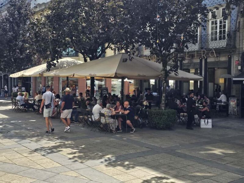 From Porto to Braga: Luxury Private Trip - Logistics: Comfortable Transport and Expert Guidance