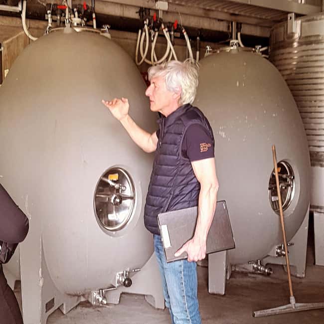 From Porto to Minho: Vinho Verde with Lunch and a Visit to 100% Organic Producers - Scenic Drive to Ponte de Lima and Vineyard Visit