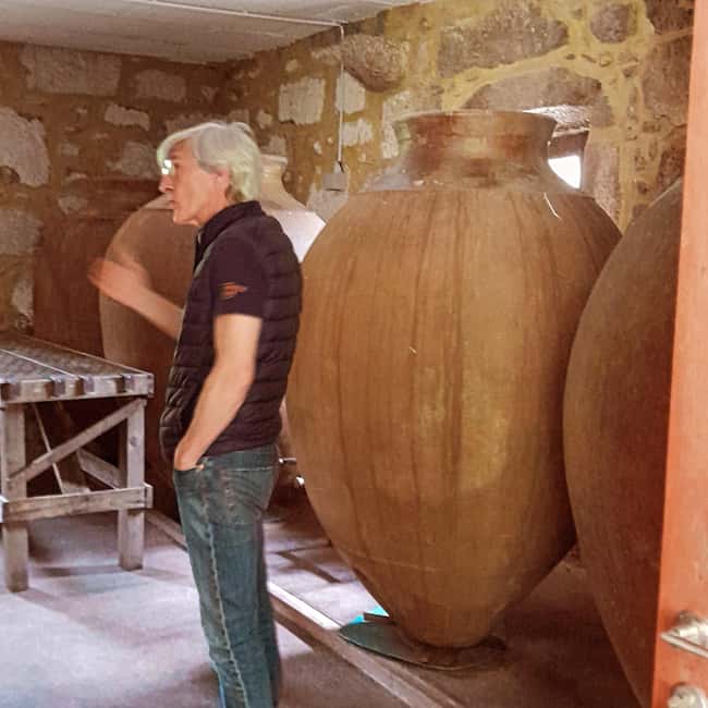 From Porto to Minho: Vinho Verde with Lunch and a Visit to 100% Organic Producers - Practical Tips and What to Bring