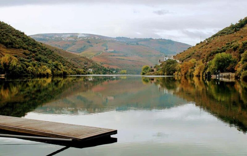 From Porto to Pinhão, Walk & Wine Tour - Scenic Drive Along the N222 National Road and Douro Valley Views